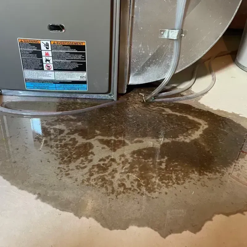 Appliance Leak Cleanup in Elgin, IL